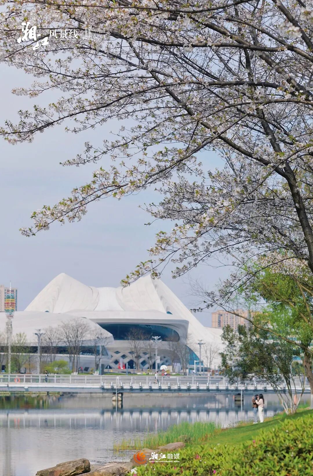 �����C(j��)�����